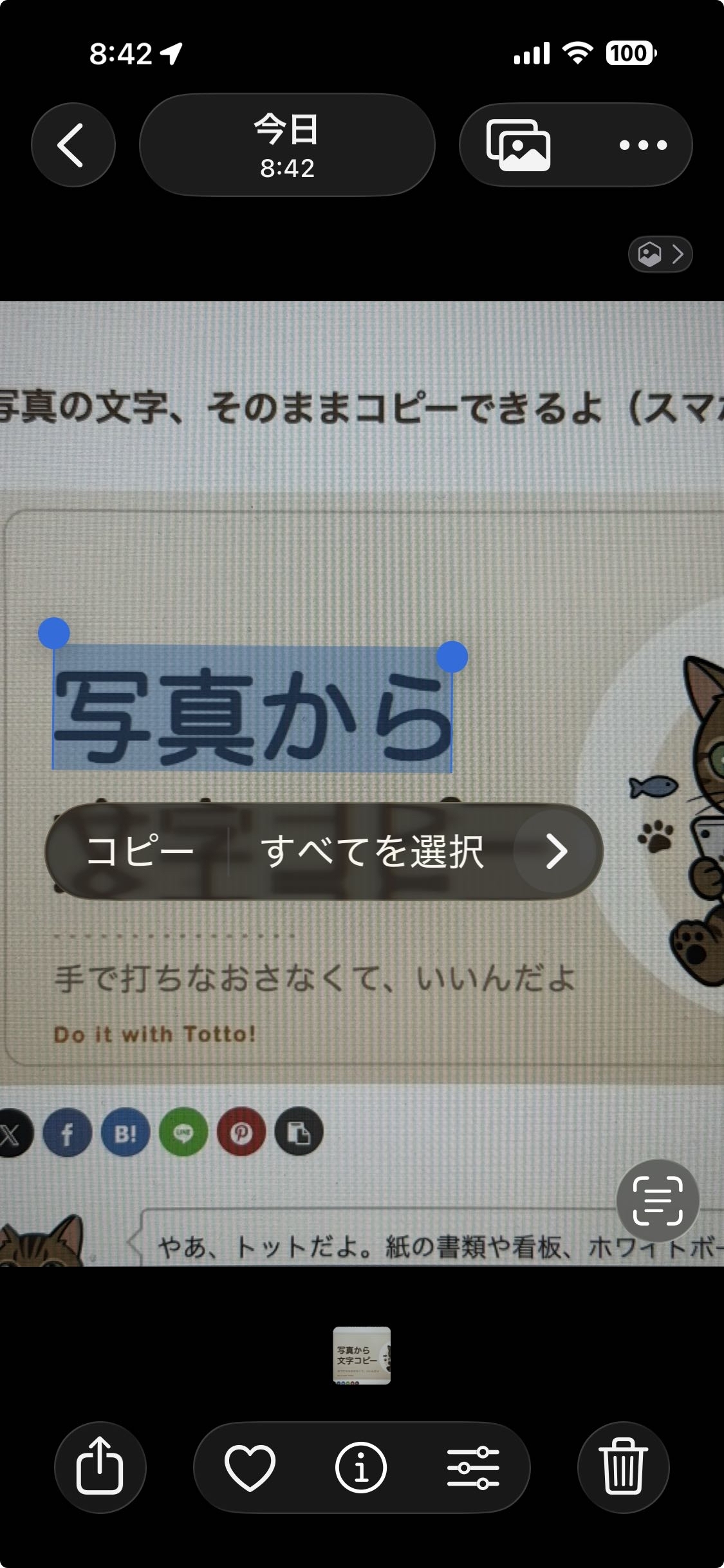 iPhoneの写真アプリで文字を長押しして「コピー」メニューが出ている画面
