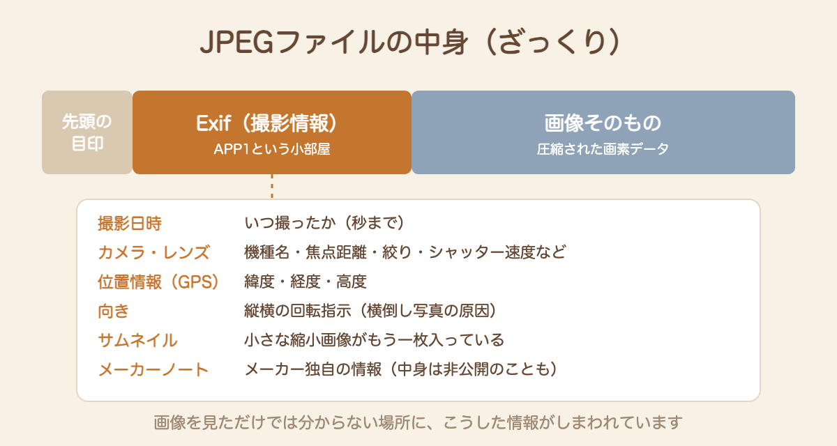 JPEGファイルの中身のイメージ。先頭の目印、Exif（撮影日時・カメラ・位置情報・向き・サムネイル・メーカーノート）、画像そのもの